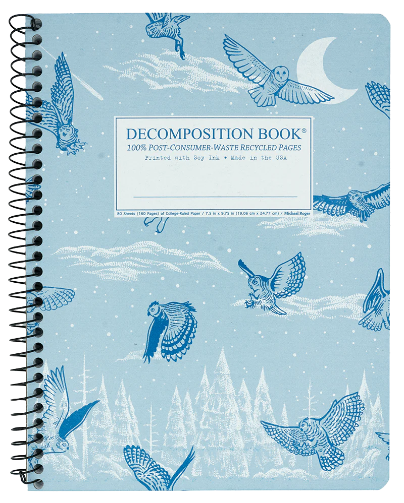 Birds of Prey Gift Set: Three Notebooks & a Dozen Pencils - Image 10