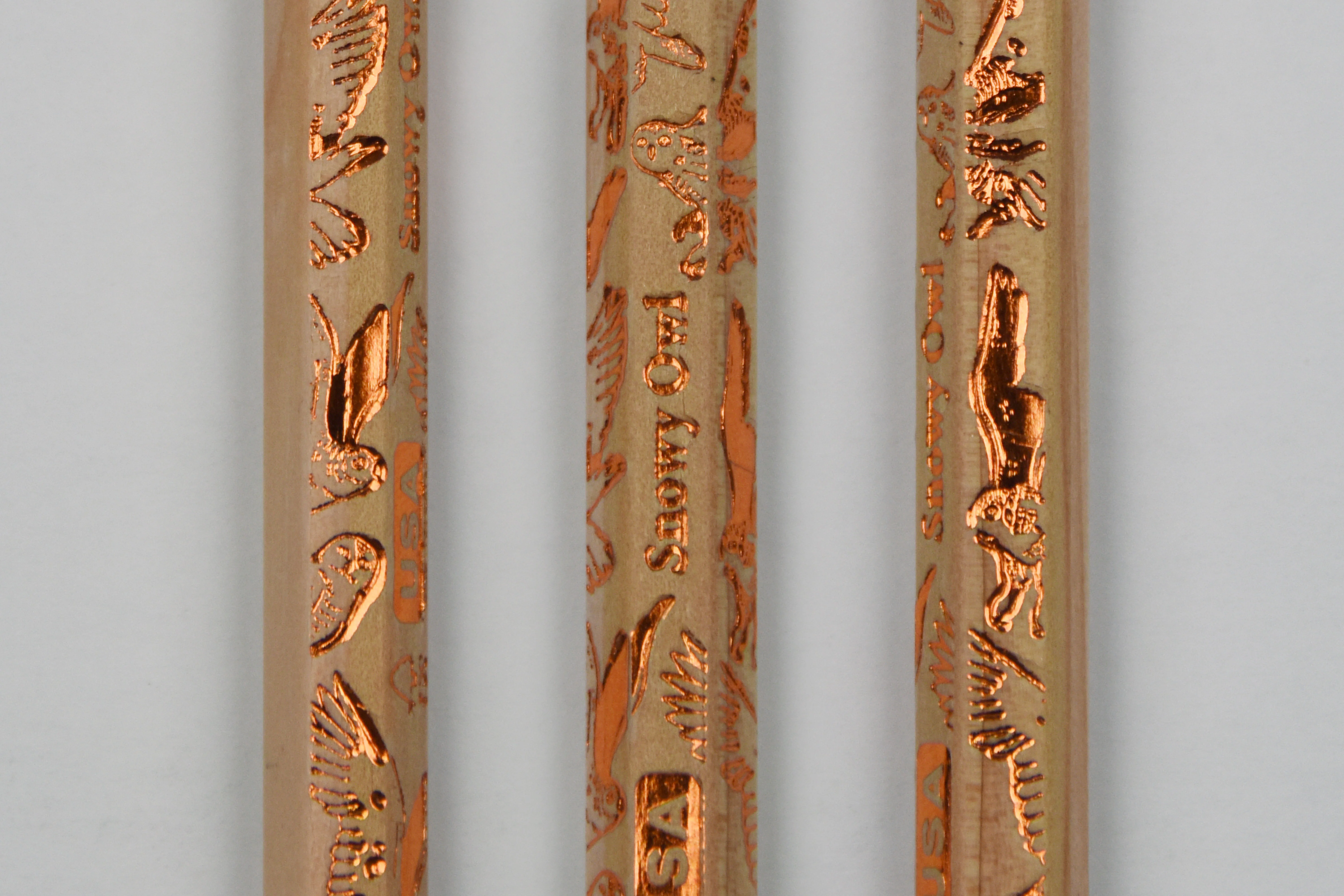 Birds of Prey Gift Set: Three Notebooks & a Dozen Pencils - Image 12