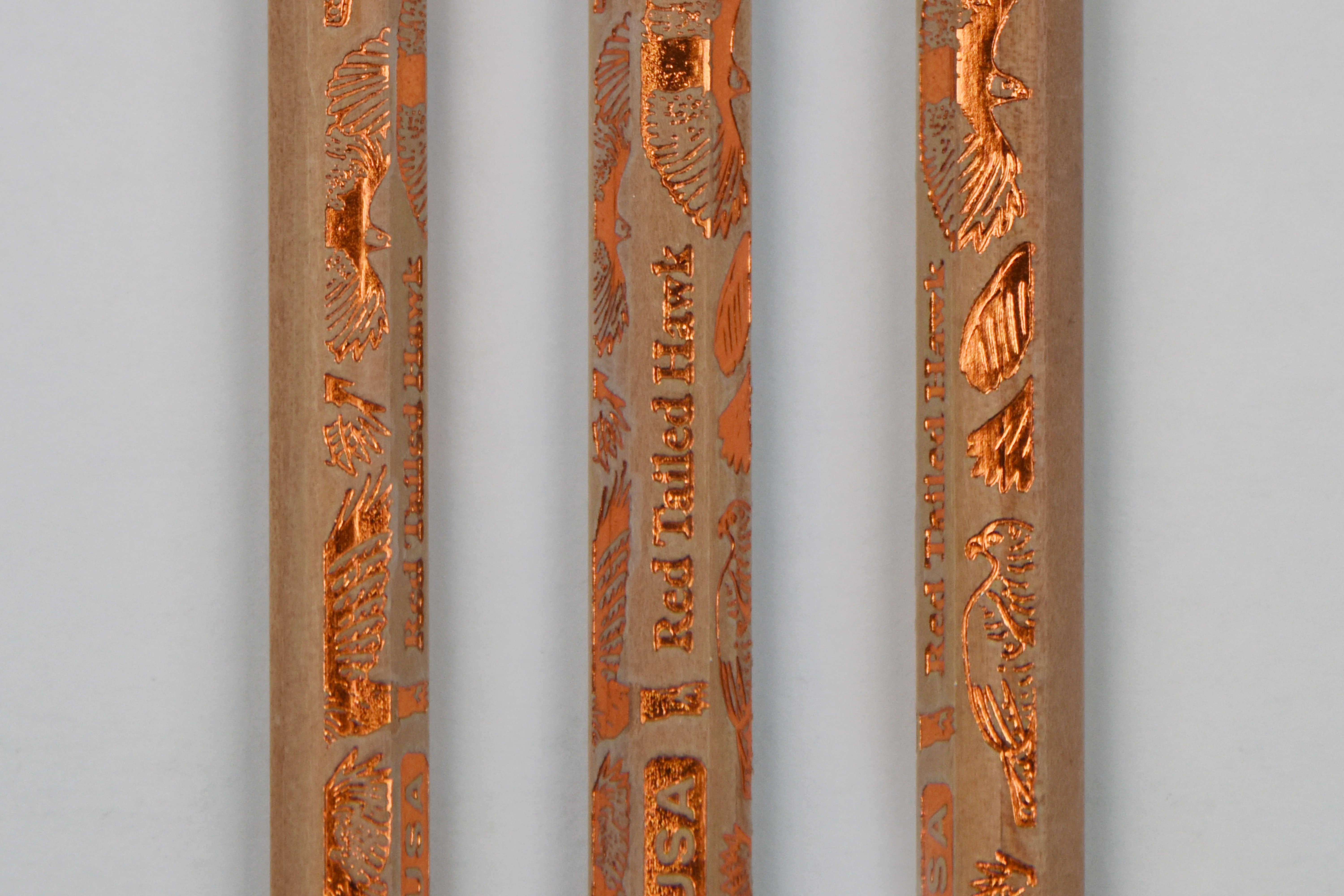 Birds of Prey Gift Set: Three Notebooks & a Dozen Pencils - Image 14