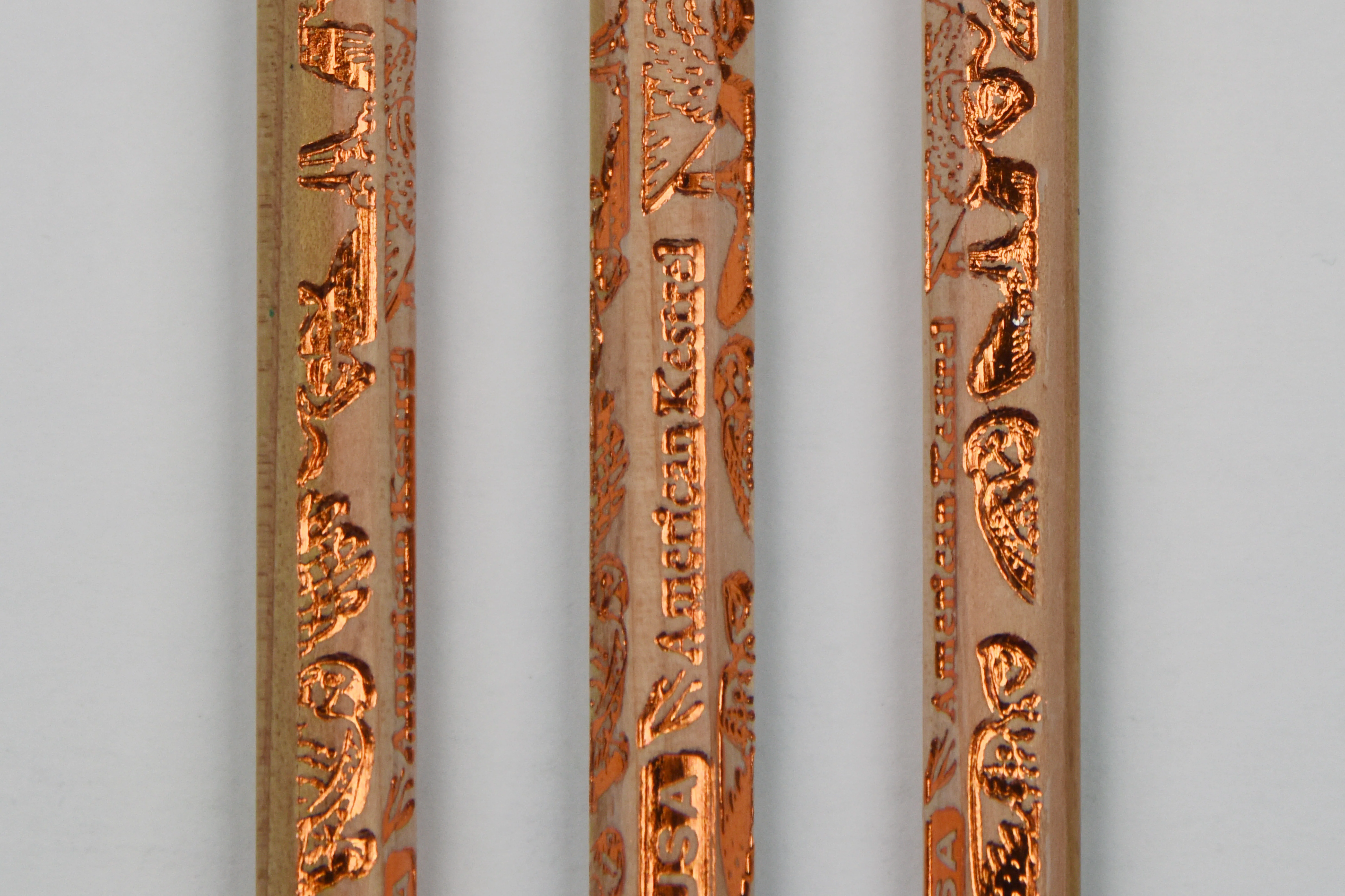 Birds of Prey Gift Set: Three Notebooks & a Dozen Pencils - Image 16