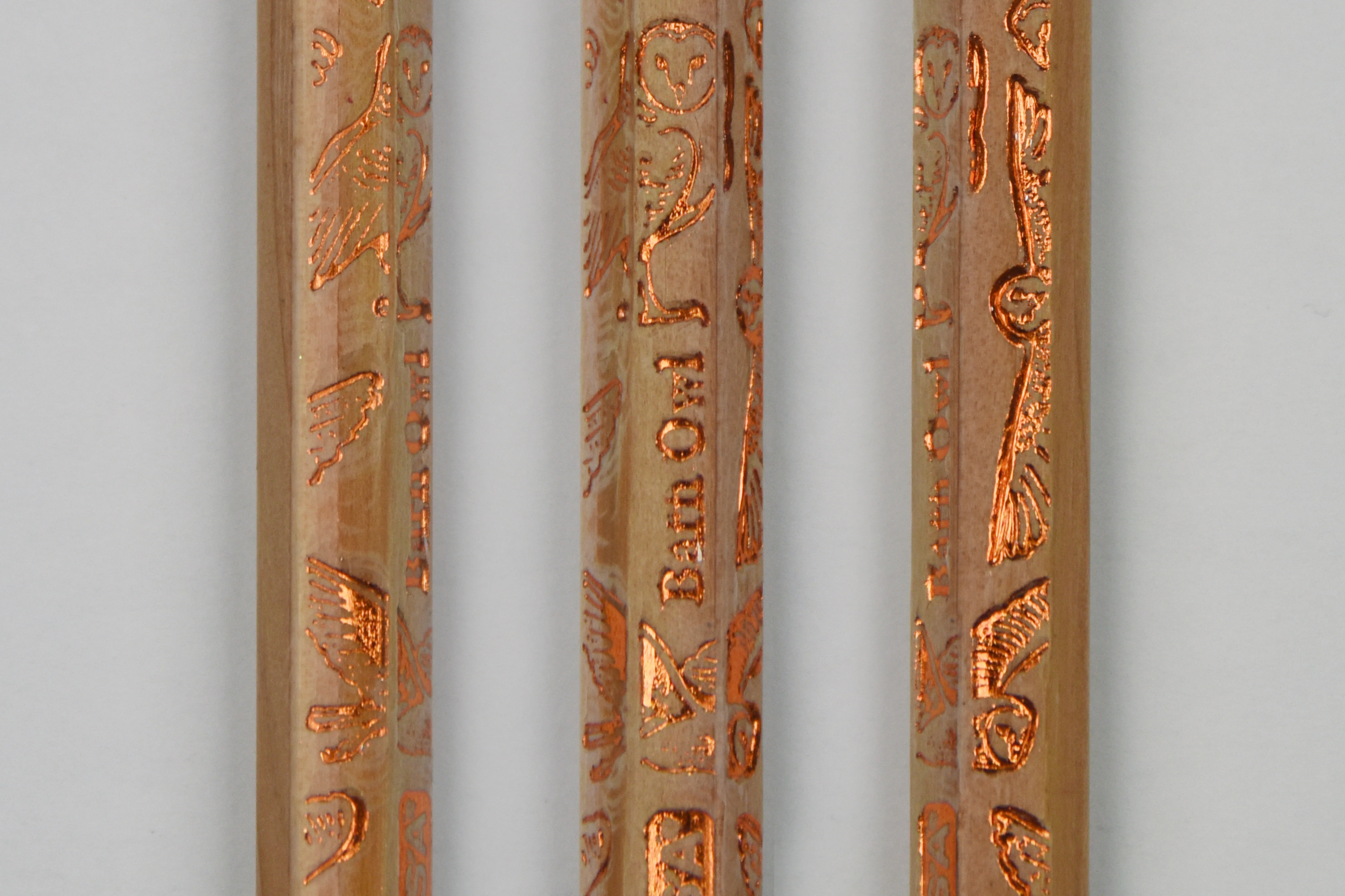 Birds of Prey Gift Set: Three Notebooks & a Dozen Pencils - Image 17