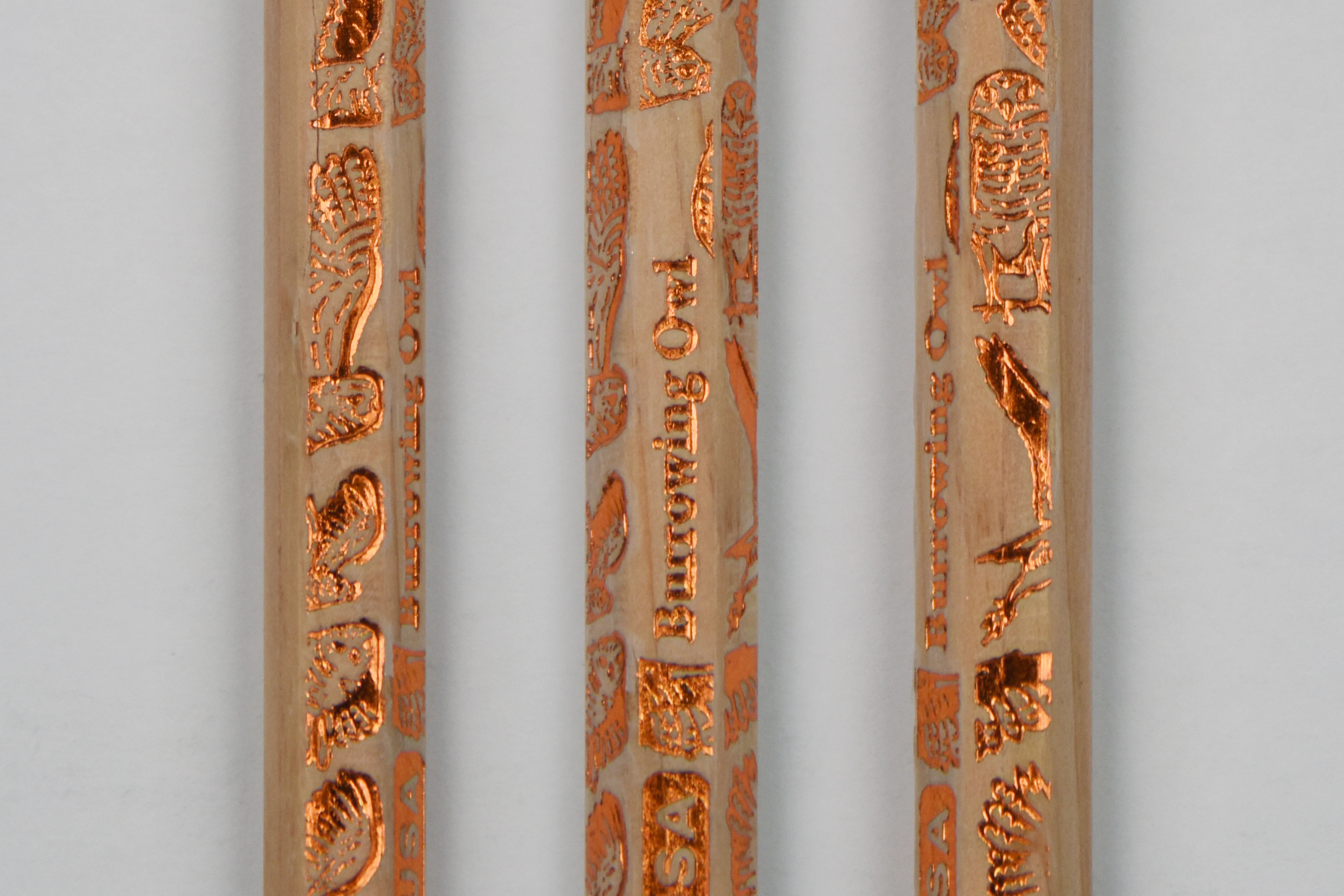 Birds of Prey Gift Set: Three Notebooks & a Dozen Pencils - Image 18