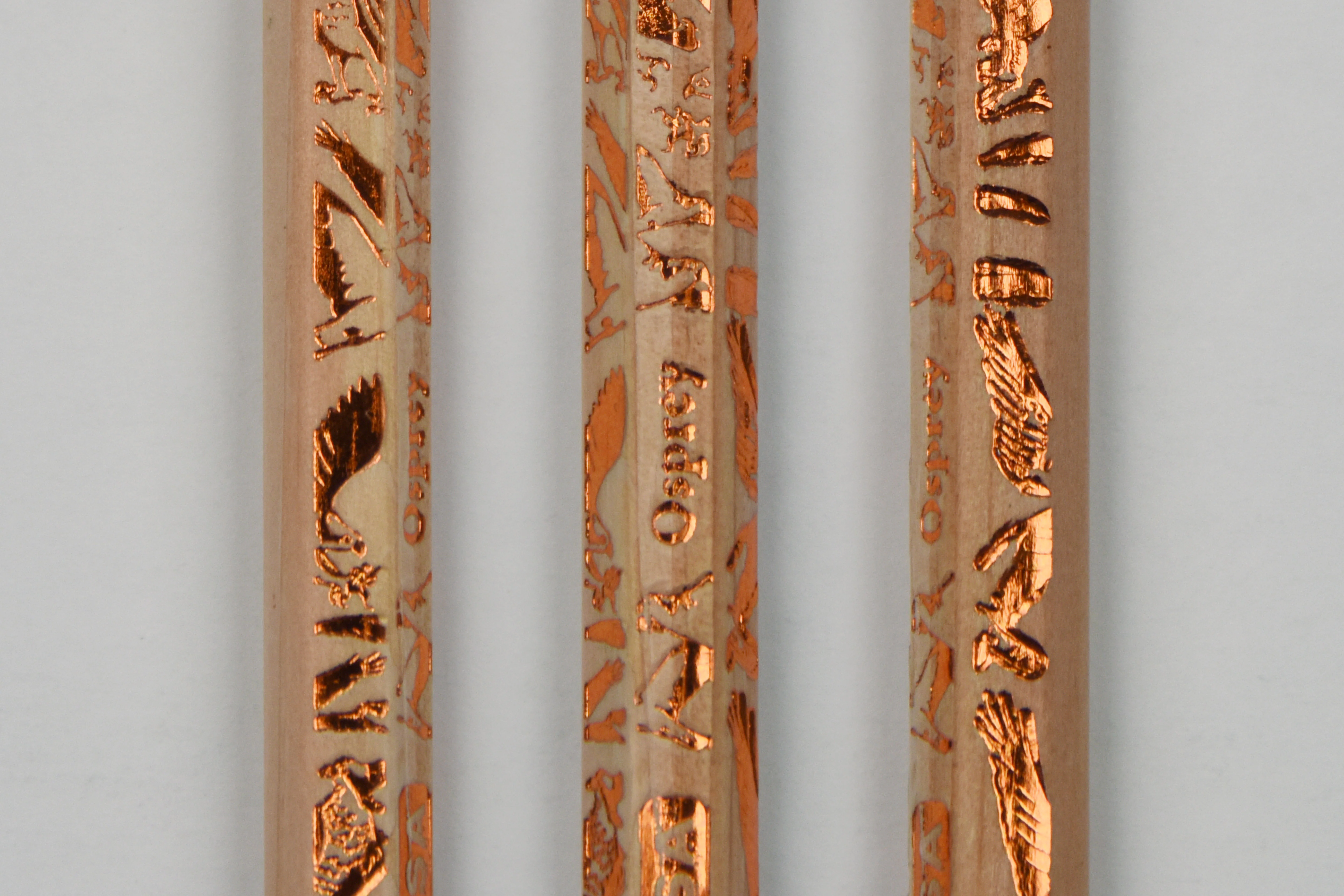 Birds of Prey Gift Set: Three Notebooks & a Dozen Pencils - Image 20