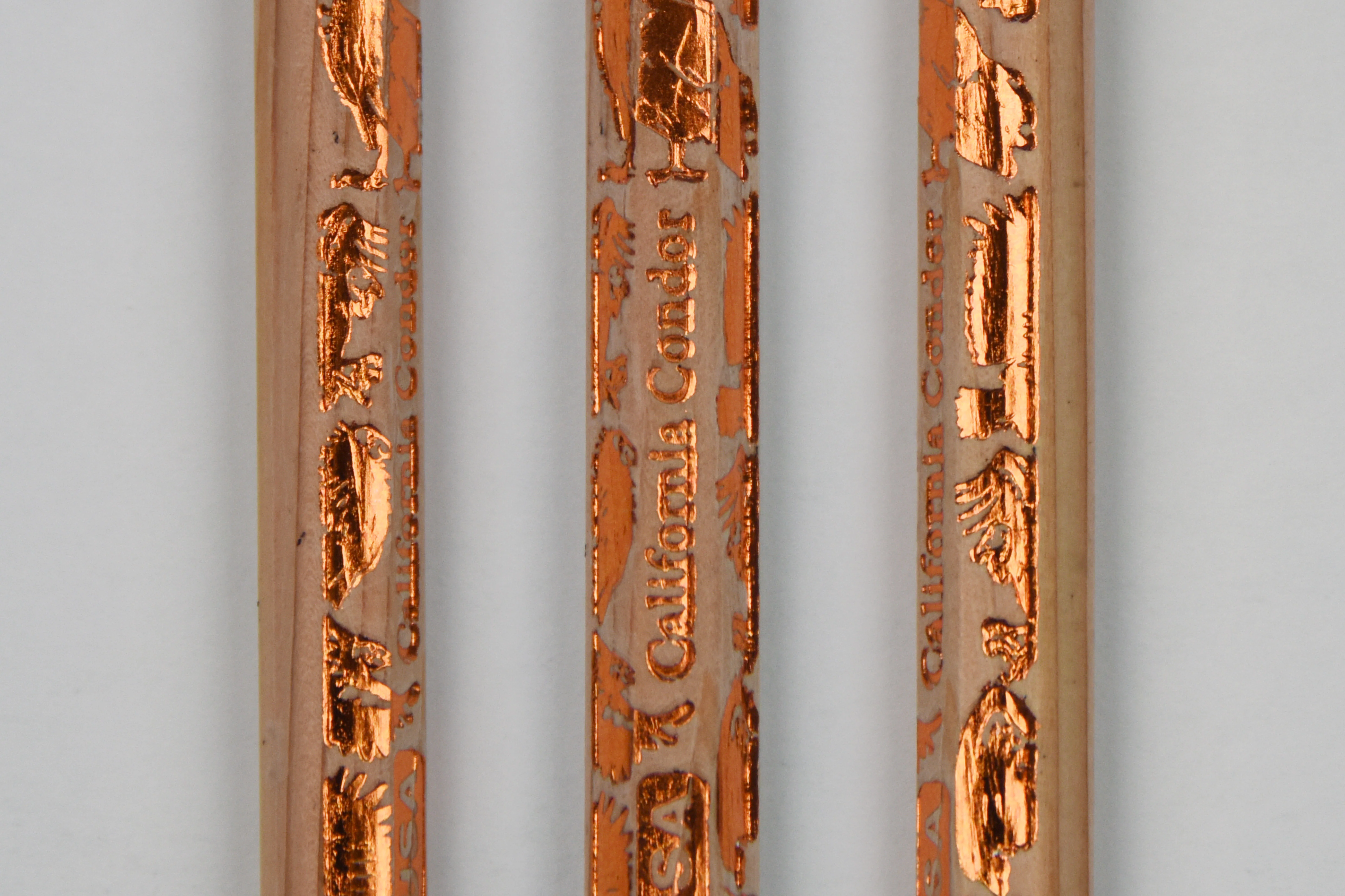 Birds of Prey Gift Set: Three Notebooks & a Dozen Pencils - Image 21