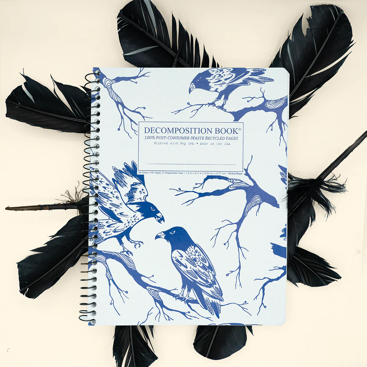 Ravens Decomposition Book - Image 3